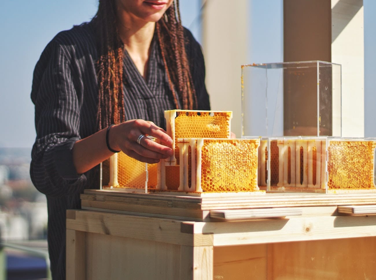 Honey-beekeeping